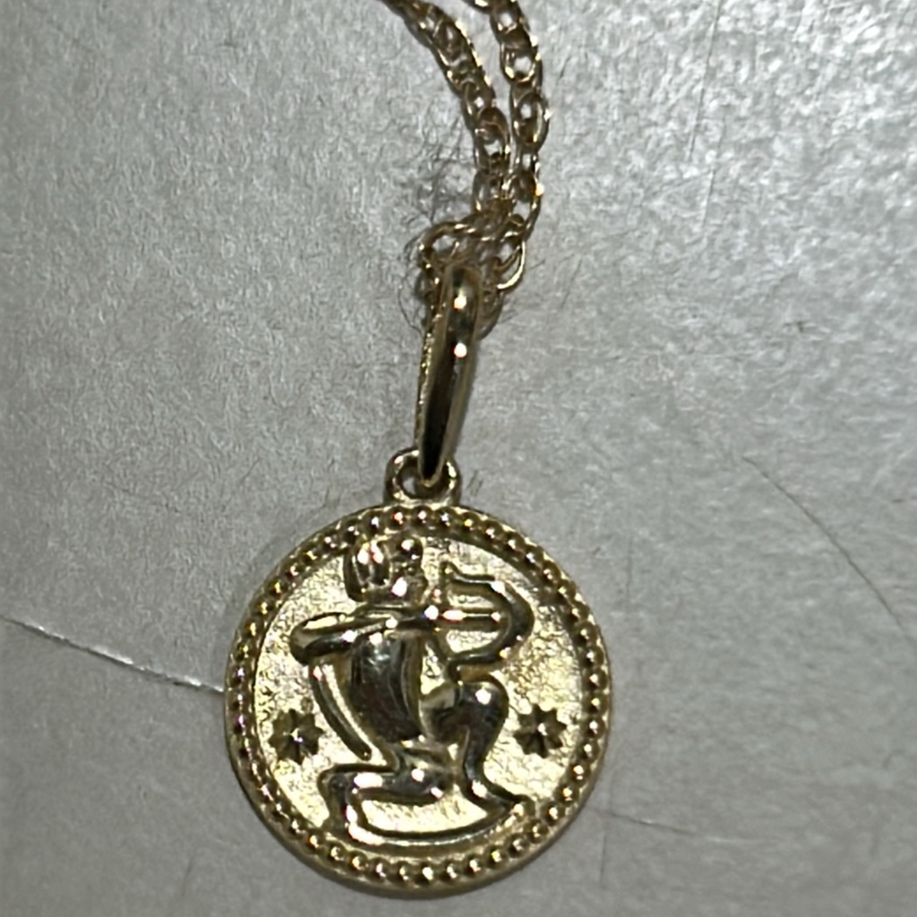 Stone & Strand Zodiac Coin Pendant Necklace Nwot — image 6 of 8